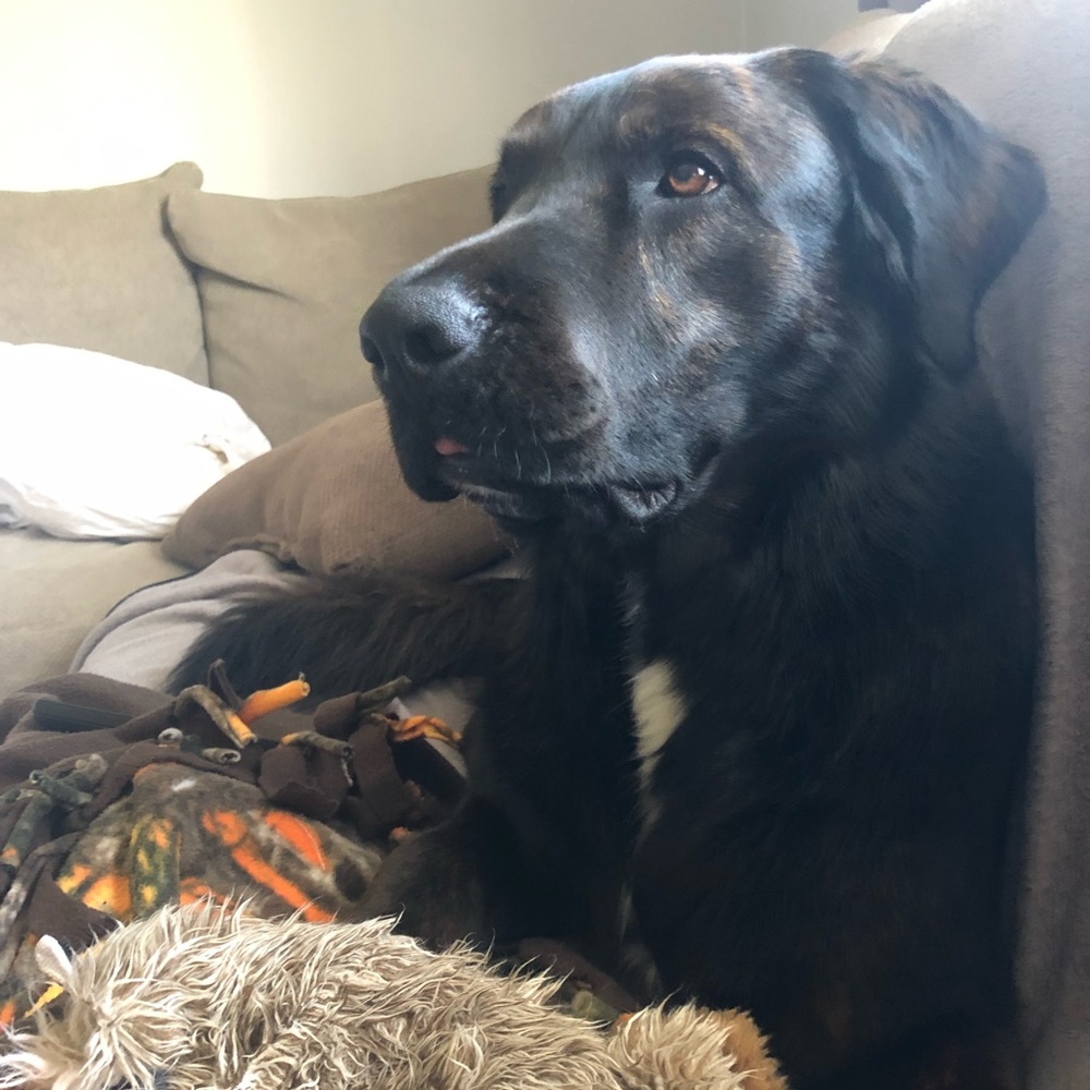 Meet your Posher, Danielle